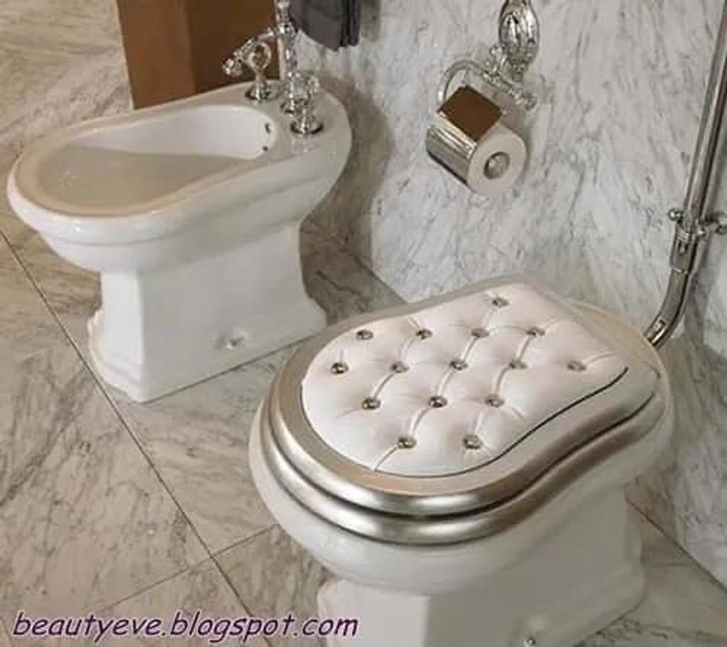 12 toilettes assez insolites!