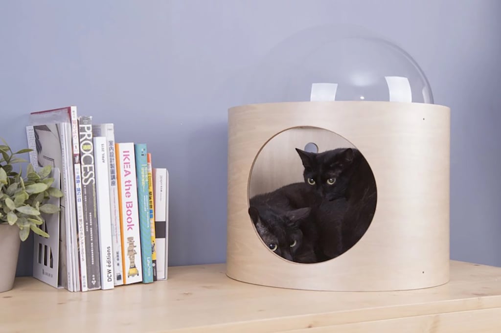 8 meubles originaux  conçus pour faire plaisir à votre chat