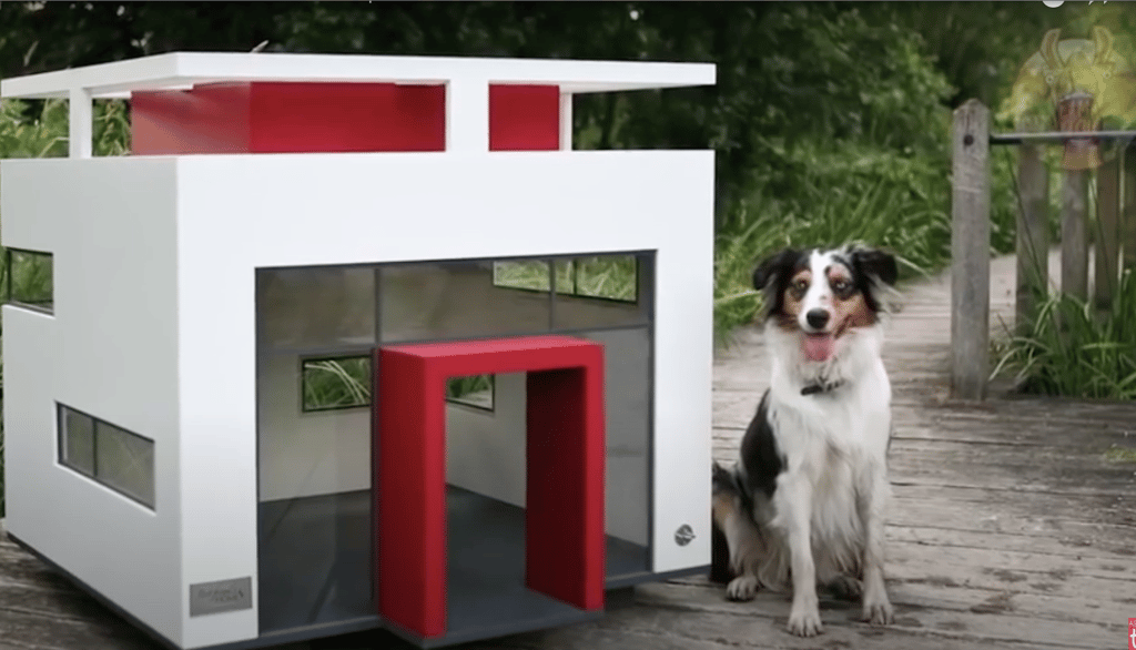 7 maisons de luxe pour chien