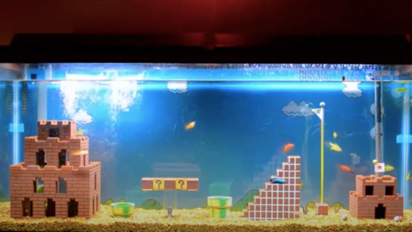 Le décor d’aquarium parfait pour les fans de jeux vidéo