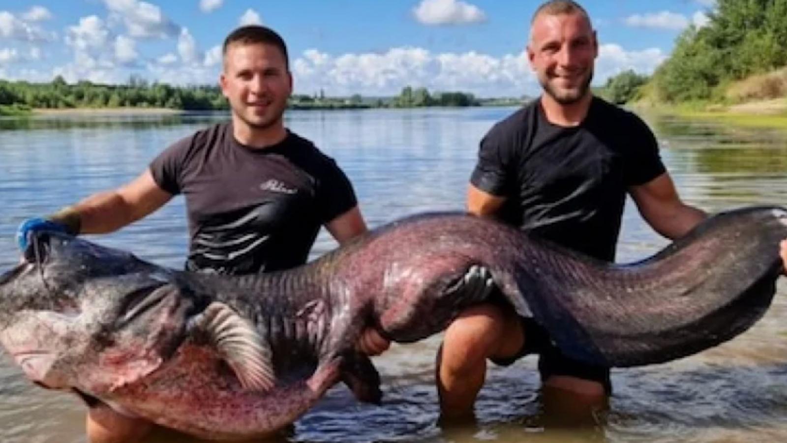 Deux pêcheurs capturent une créature aux dimensions impressionnantes