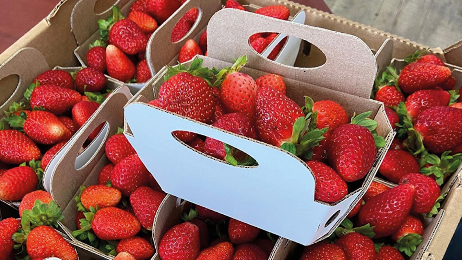 Le nouveau format des contenants de fraises du Québec risque de ne pas plaire à tout le monde
