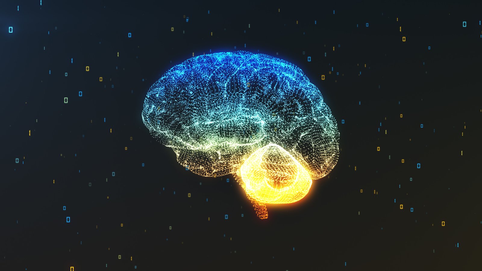 10 fonctionnalités de votre cerveau que vous ignorez probablement...
