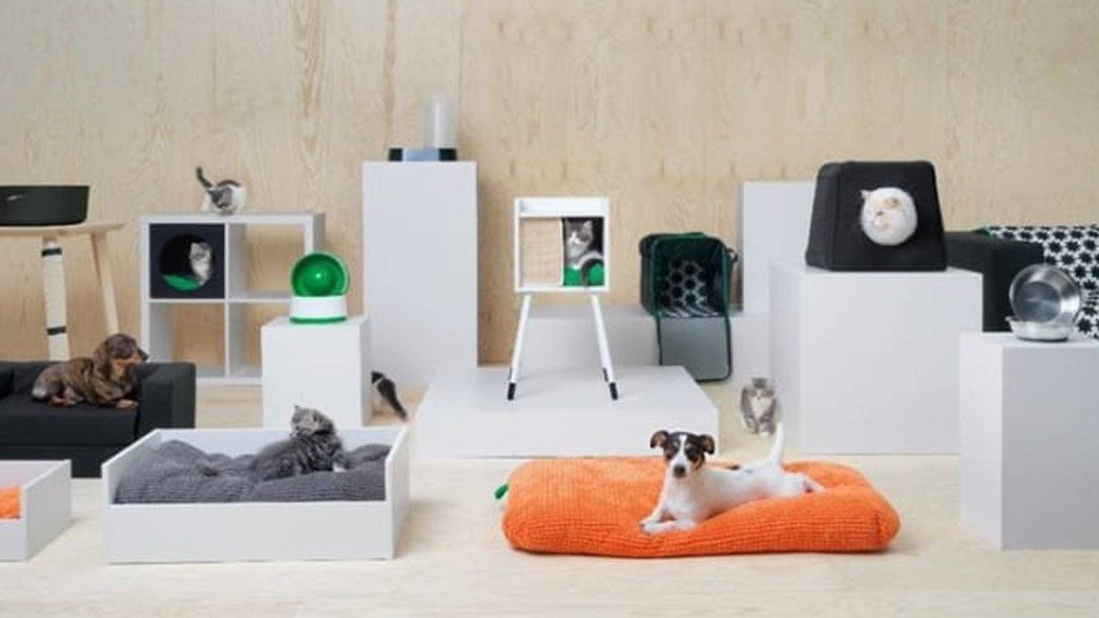 Ikea lance une ligne de meubles pour animaux et c'est un succès inespéré! 