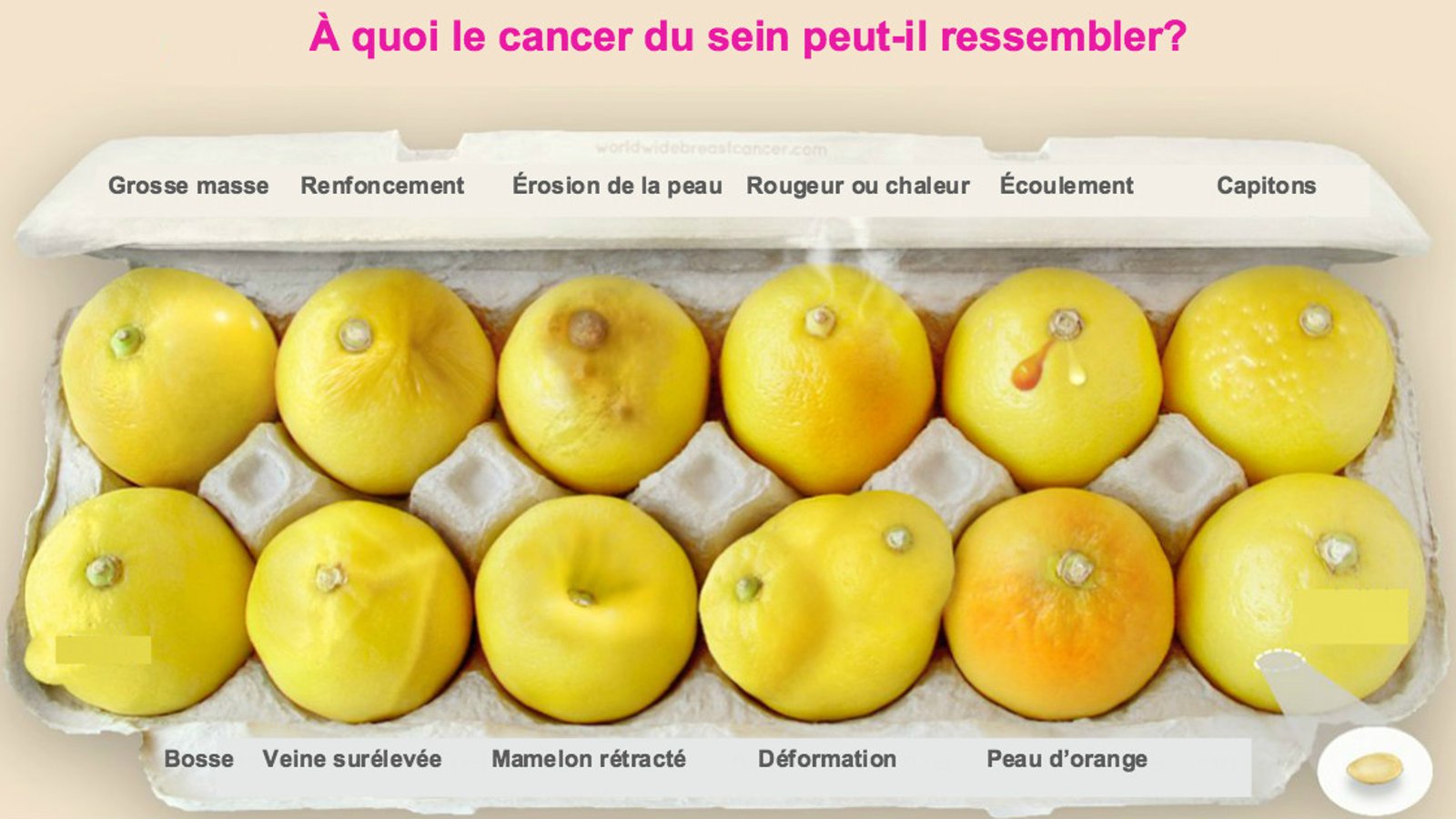 Ces citrons vous montrent 12 signes du cancer du sein qu'aucune femme ne devrait ignorer