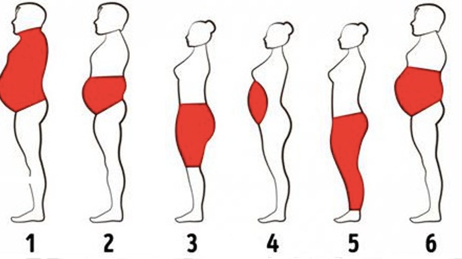 Il existe 6 types de graisses corporelles. Et voici comment s'en débarrasser
