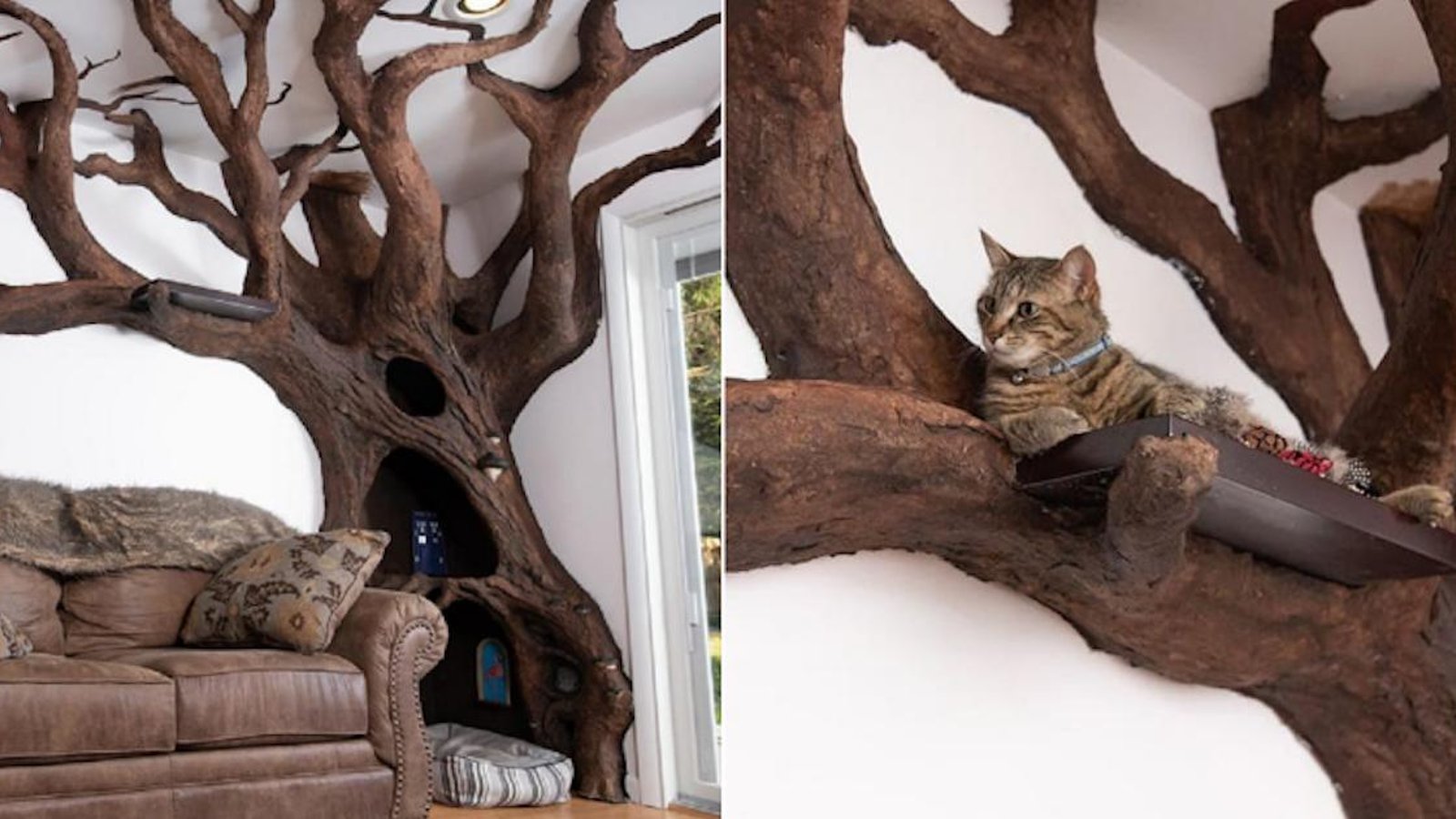 Cet artiste a pris le terme «arbre à chat» au mot!