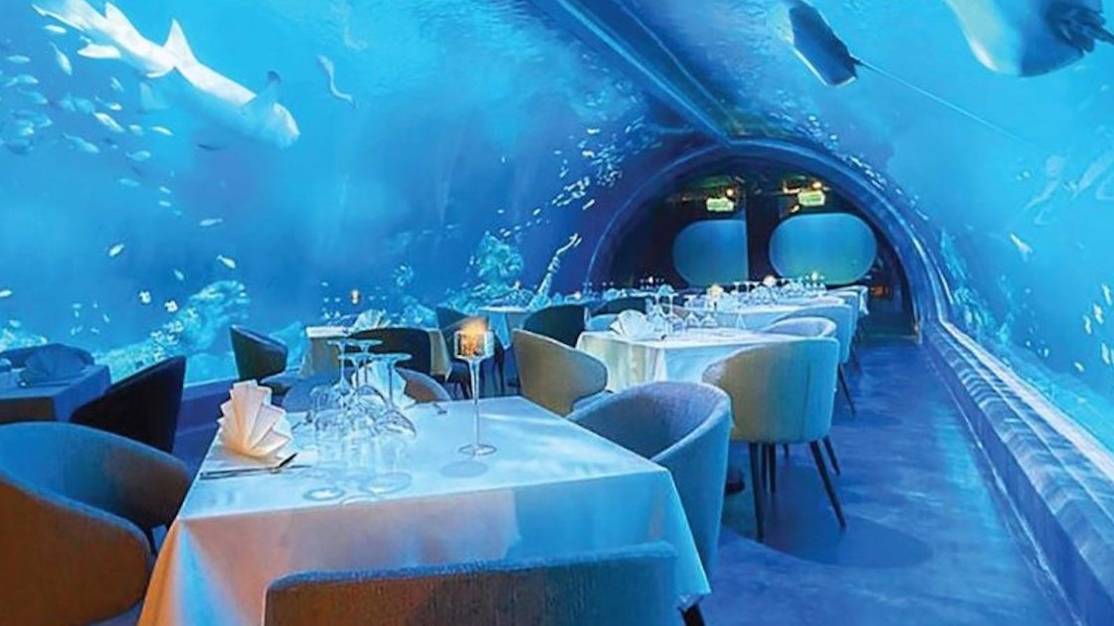 Le plus grand restaurant sous-marin du monde a ouvert ses portes 
