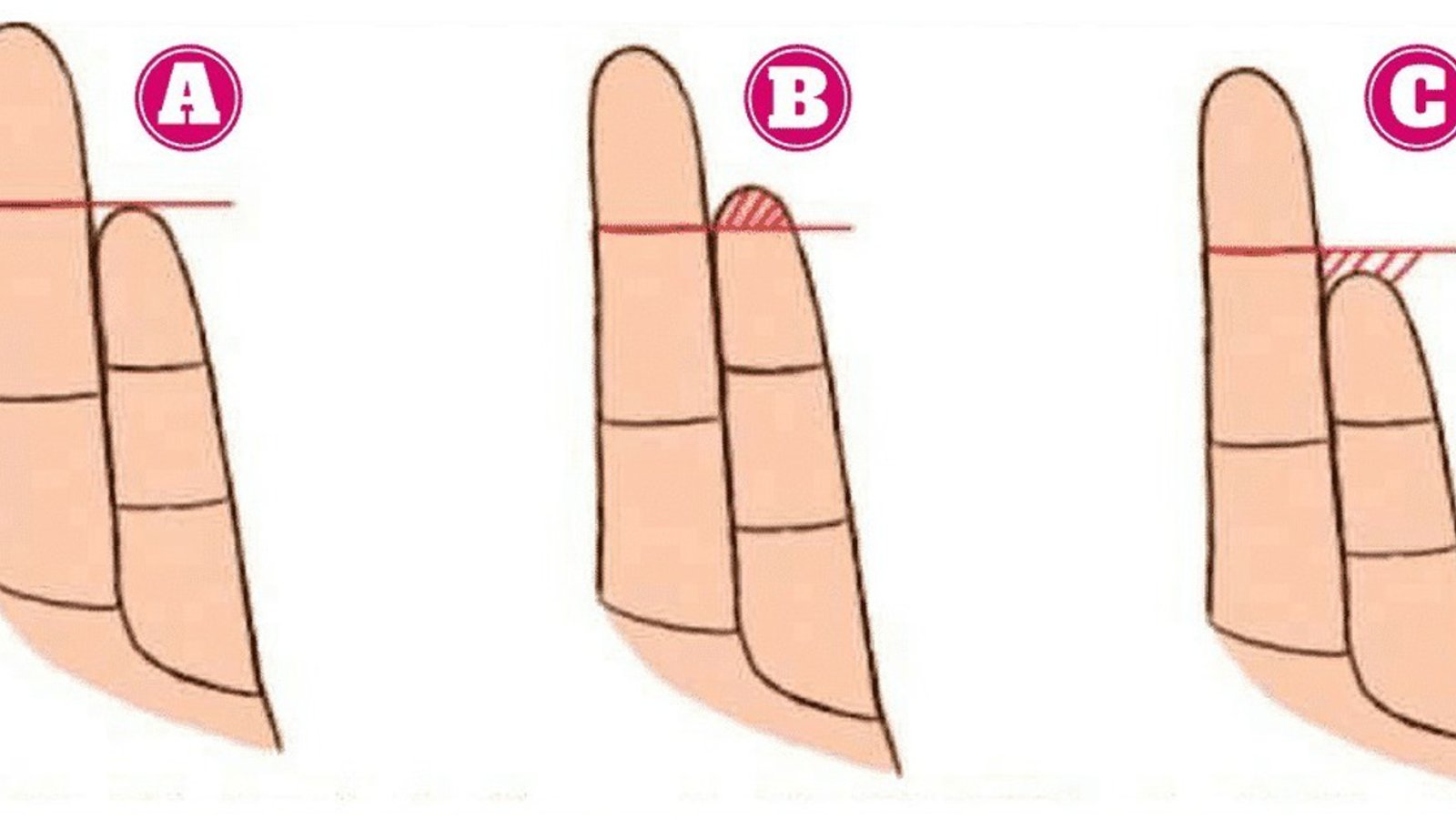 La longueur de votre petit doigt pourrait en dire beaucoup à propos de votre personnalité!