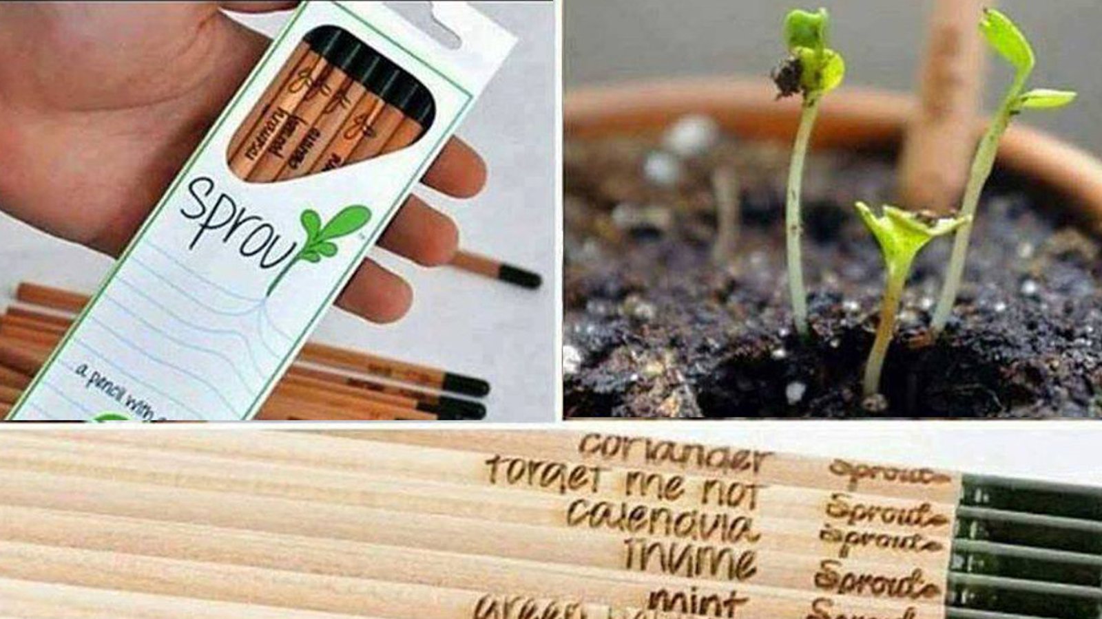 Vous serez incapable de jeter ces crayons trop courts pour être utilisés! Puisqu'ils deviendront de magnifiques plantes! 