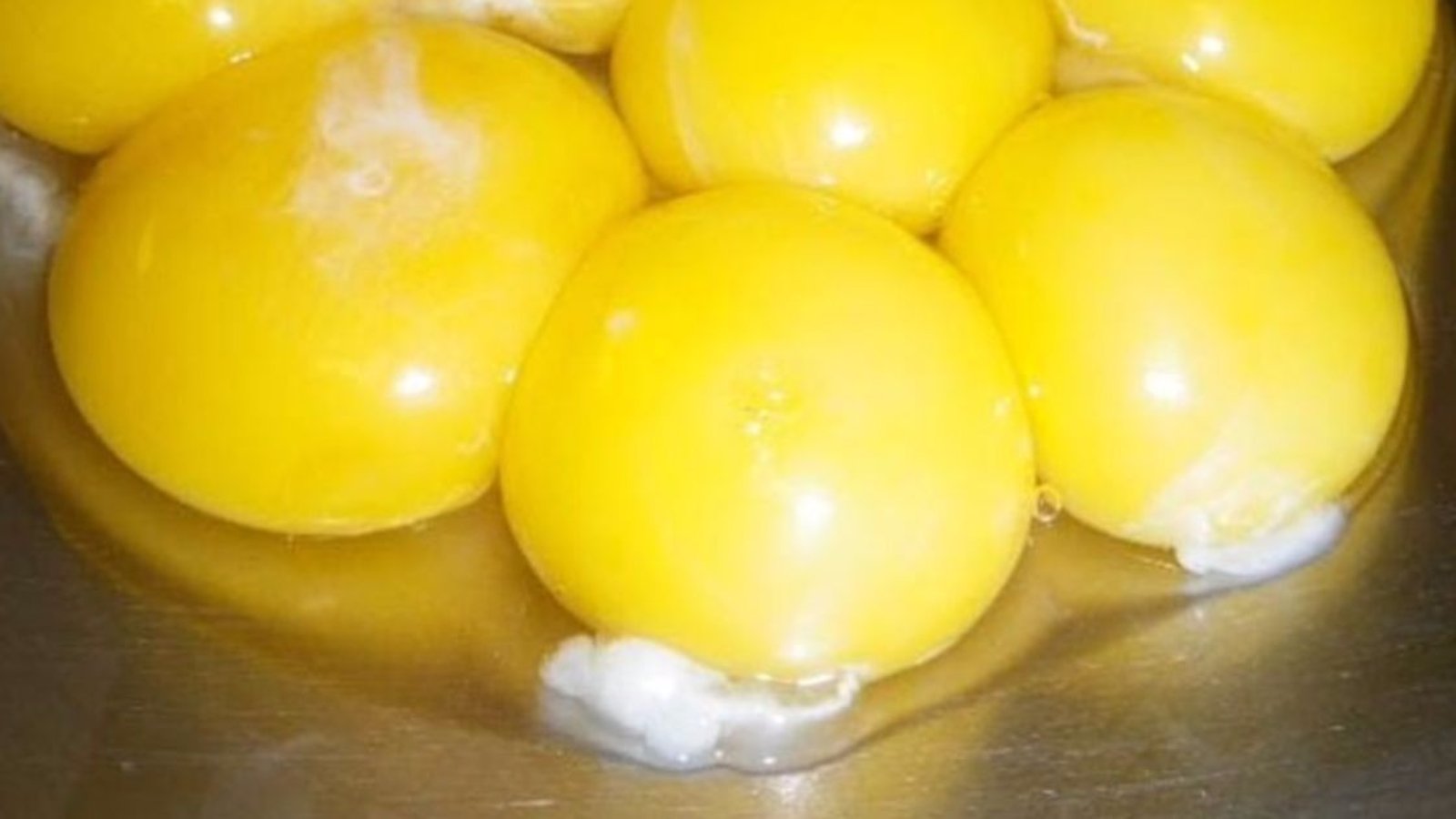 Le filament blanc dans le jaune d’œuf n’est pas ce que vous croyez! Sa présence est très importante!
