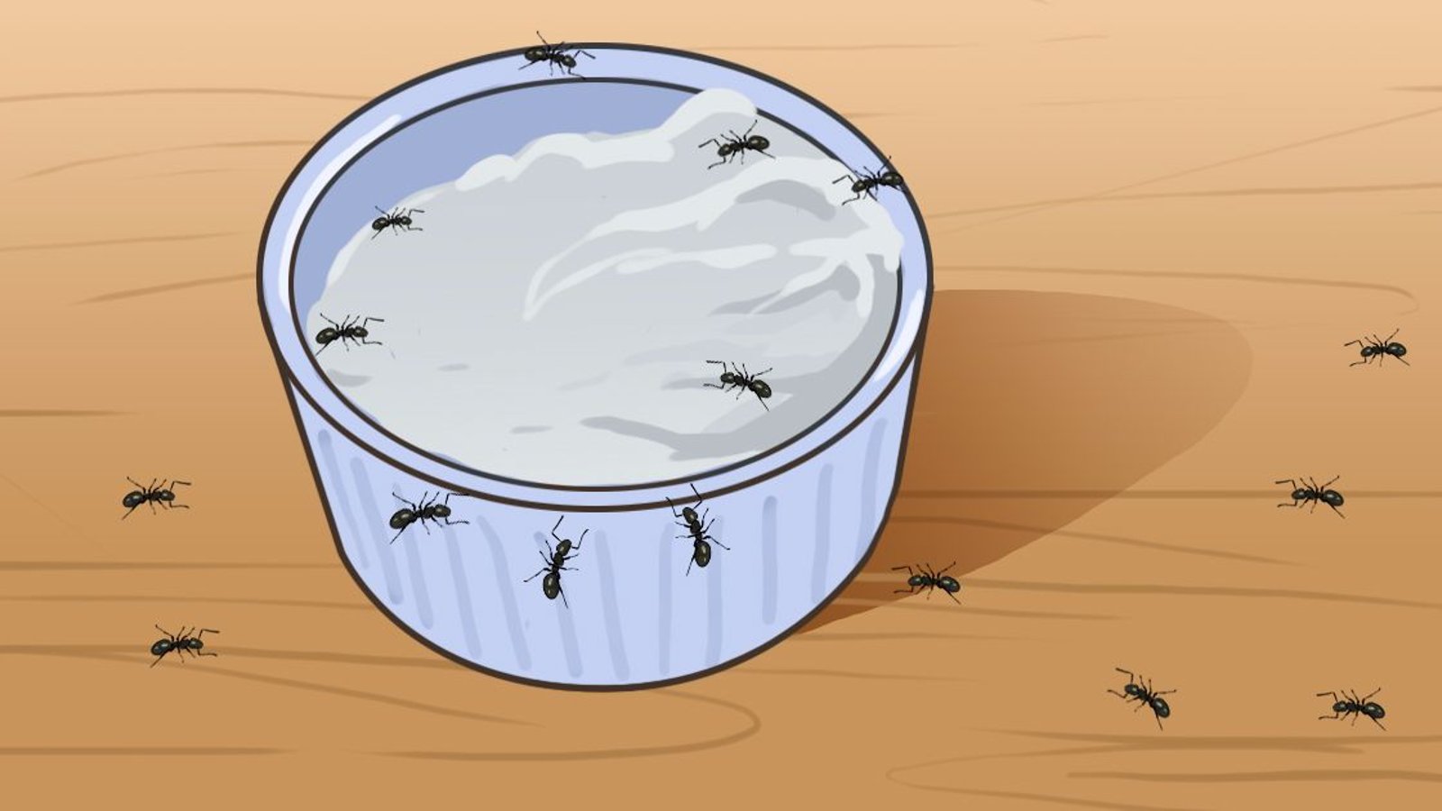 10 puissants remèdes maison pour se débarrasser des fourmis! 