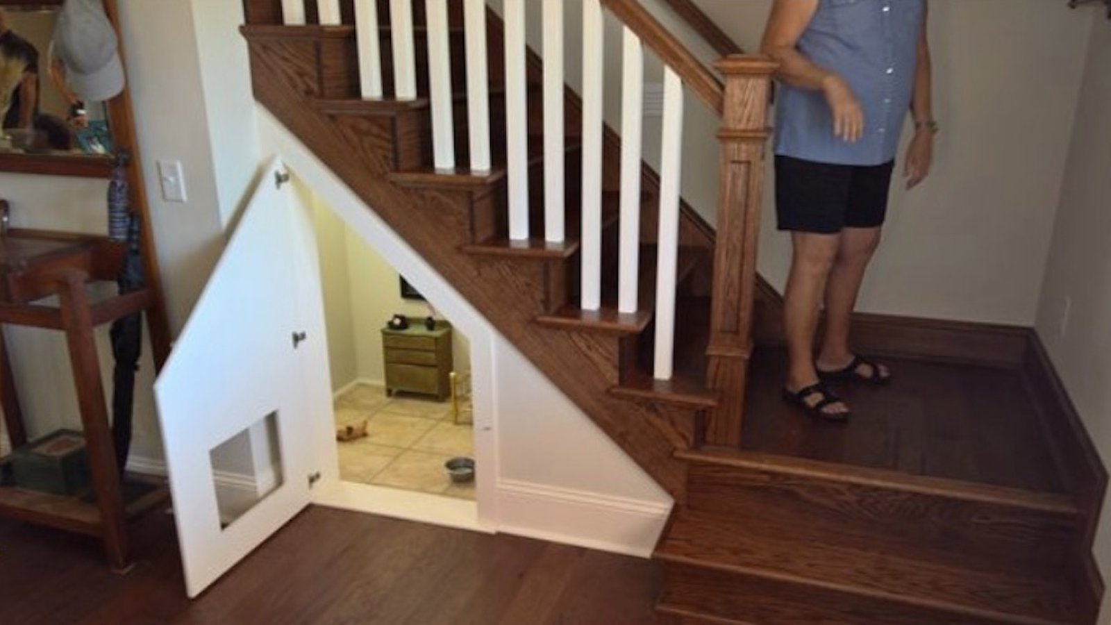 Elle aménage une pièce sous l’escalier pour son chien sous le théme Harry Potter