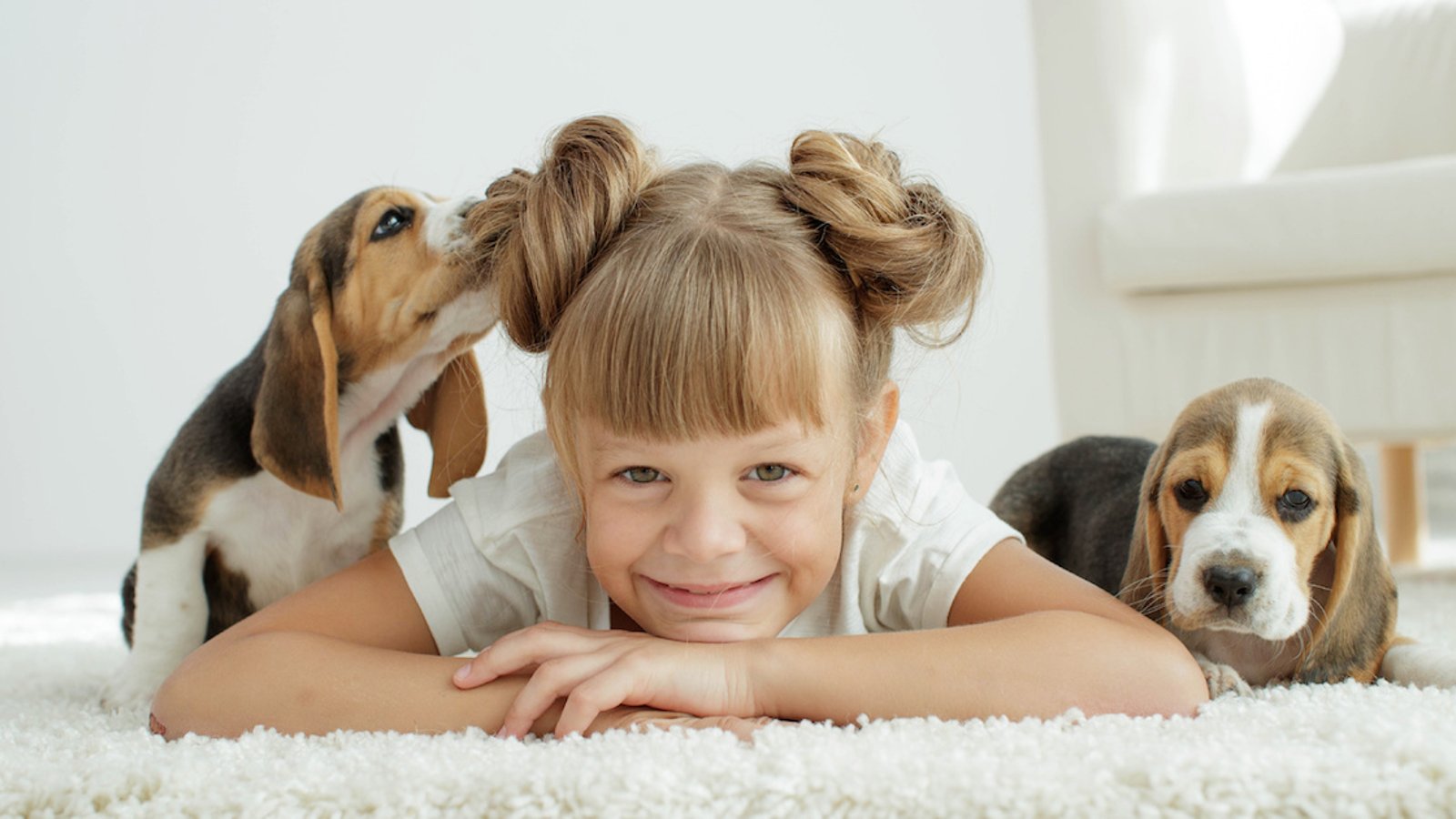 Vous songez à adopter un chien? Voici les 10 pitous qui aiment le plus les enfants!