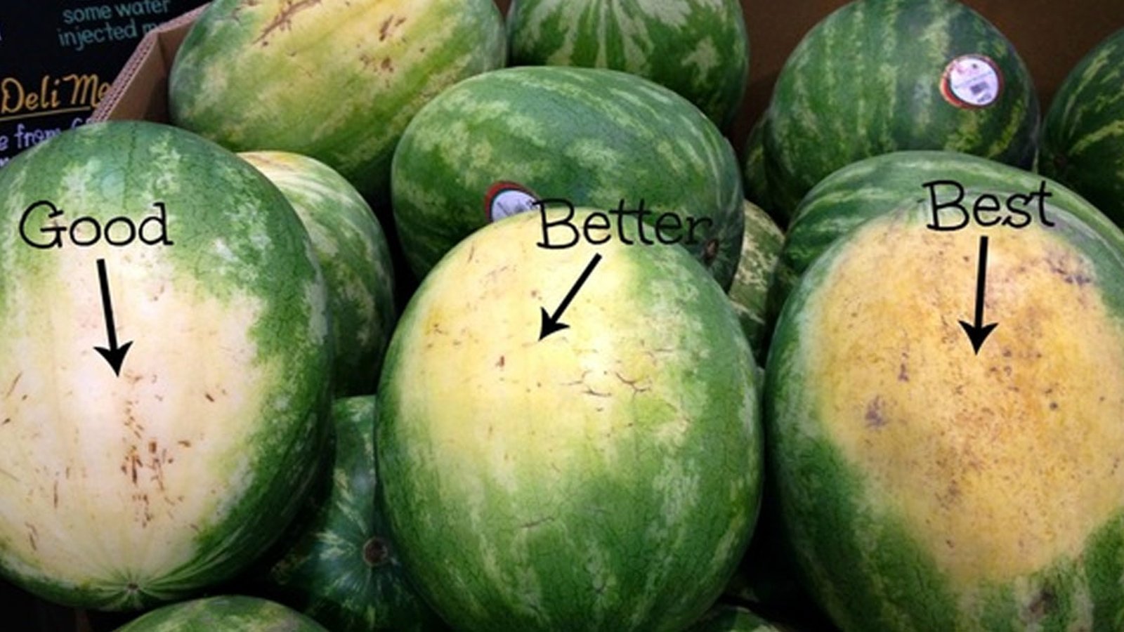 Comment choisir le melon d’eau parfait