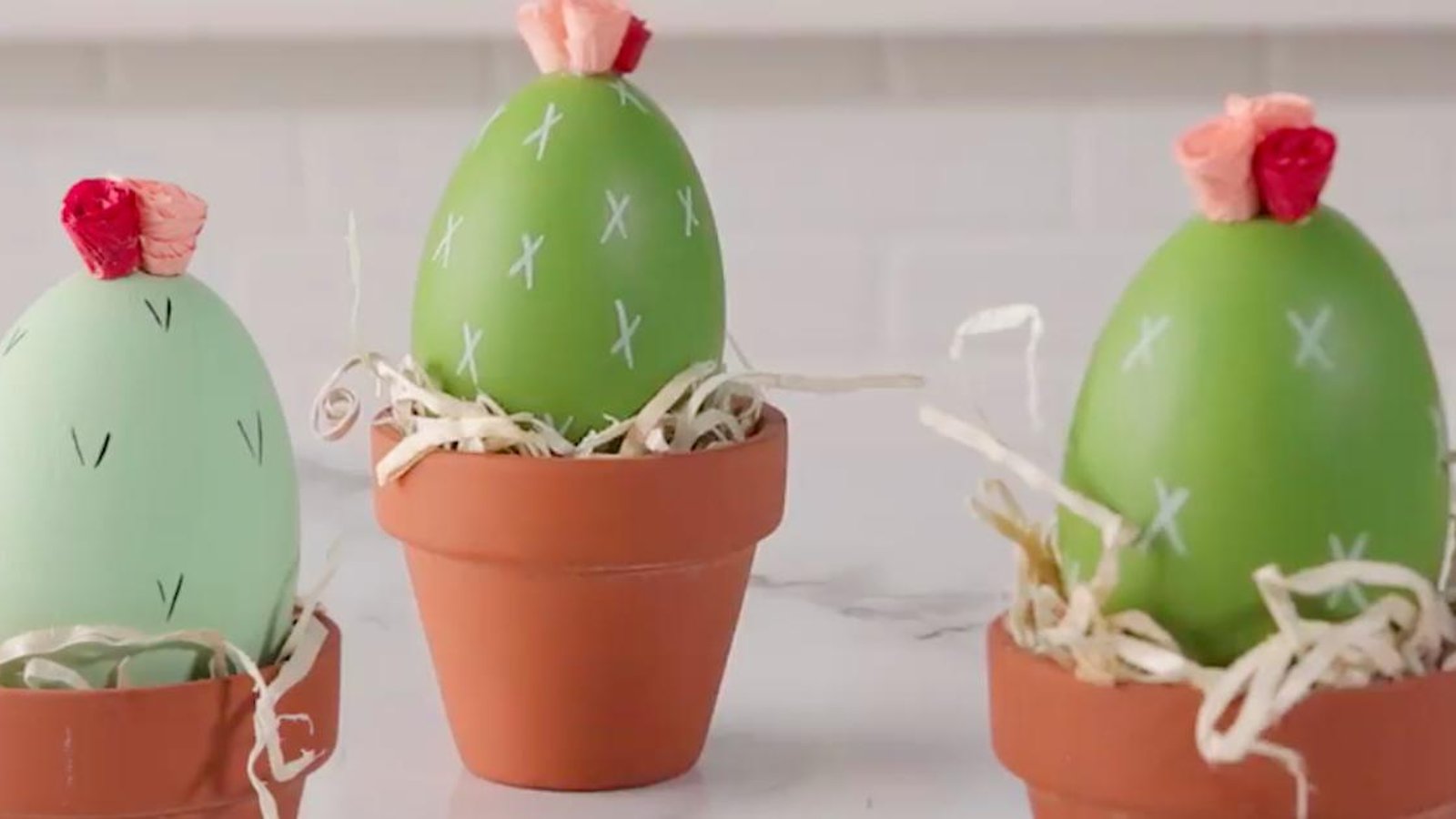 Comment créer des cocos-cactus décoratifs