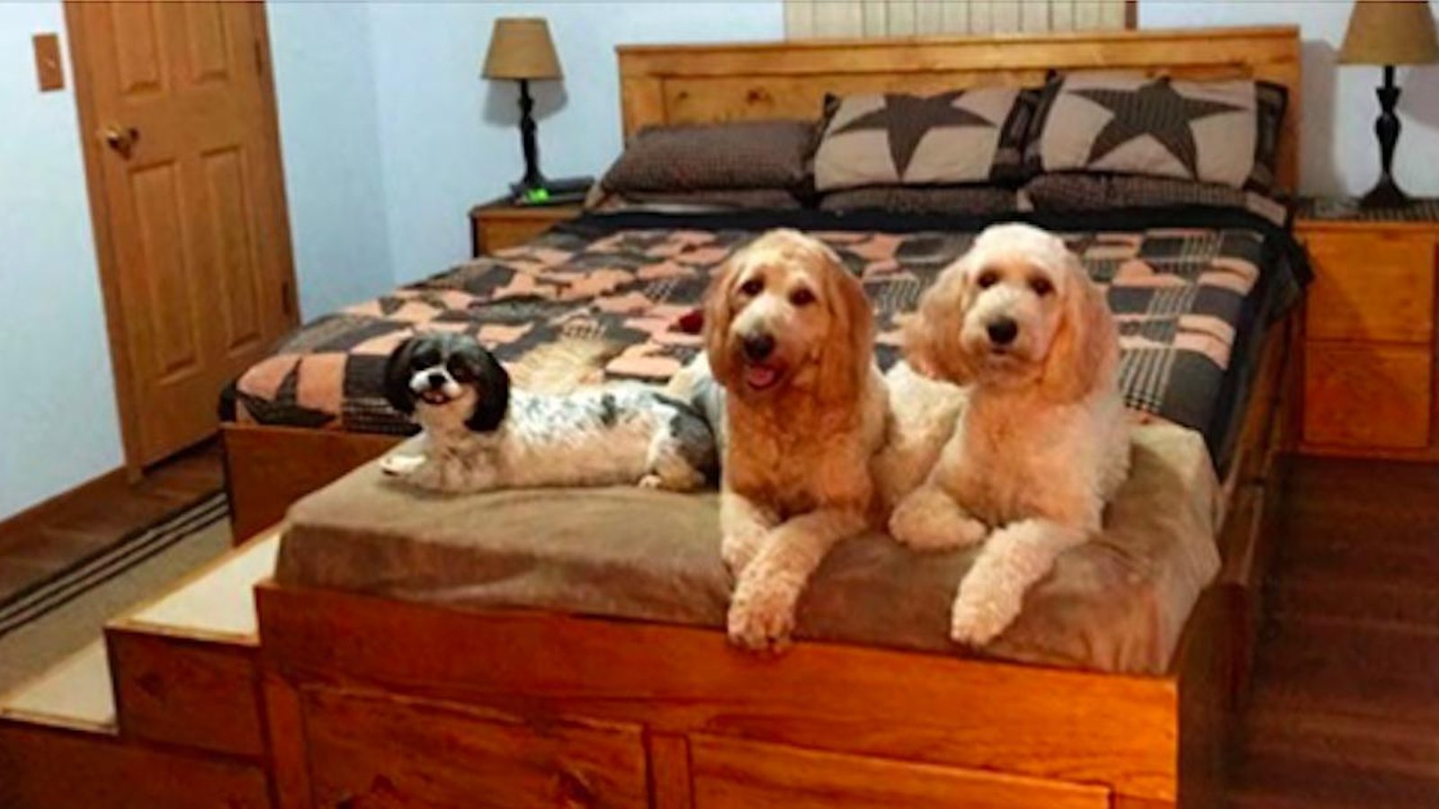 Une entreprise fabrique des cadres de lit en bois sur mesure avec lits pour animaux intégrés