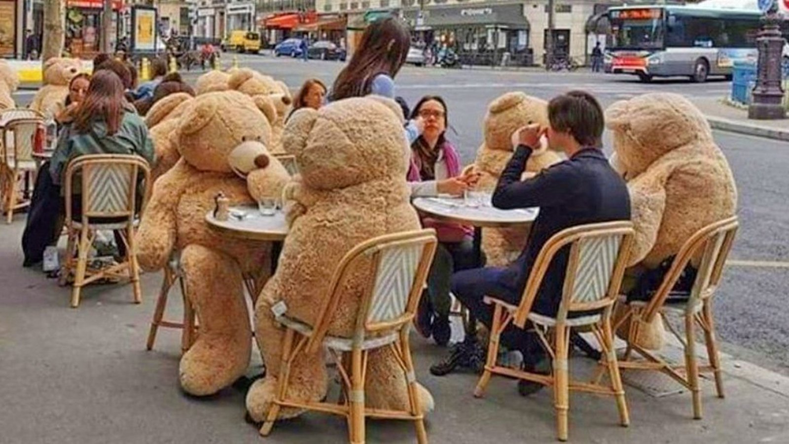 Un café utilise des ours en peluche géants pour favoriser la distanciation sociale