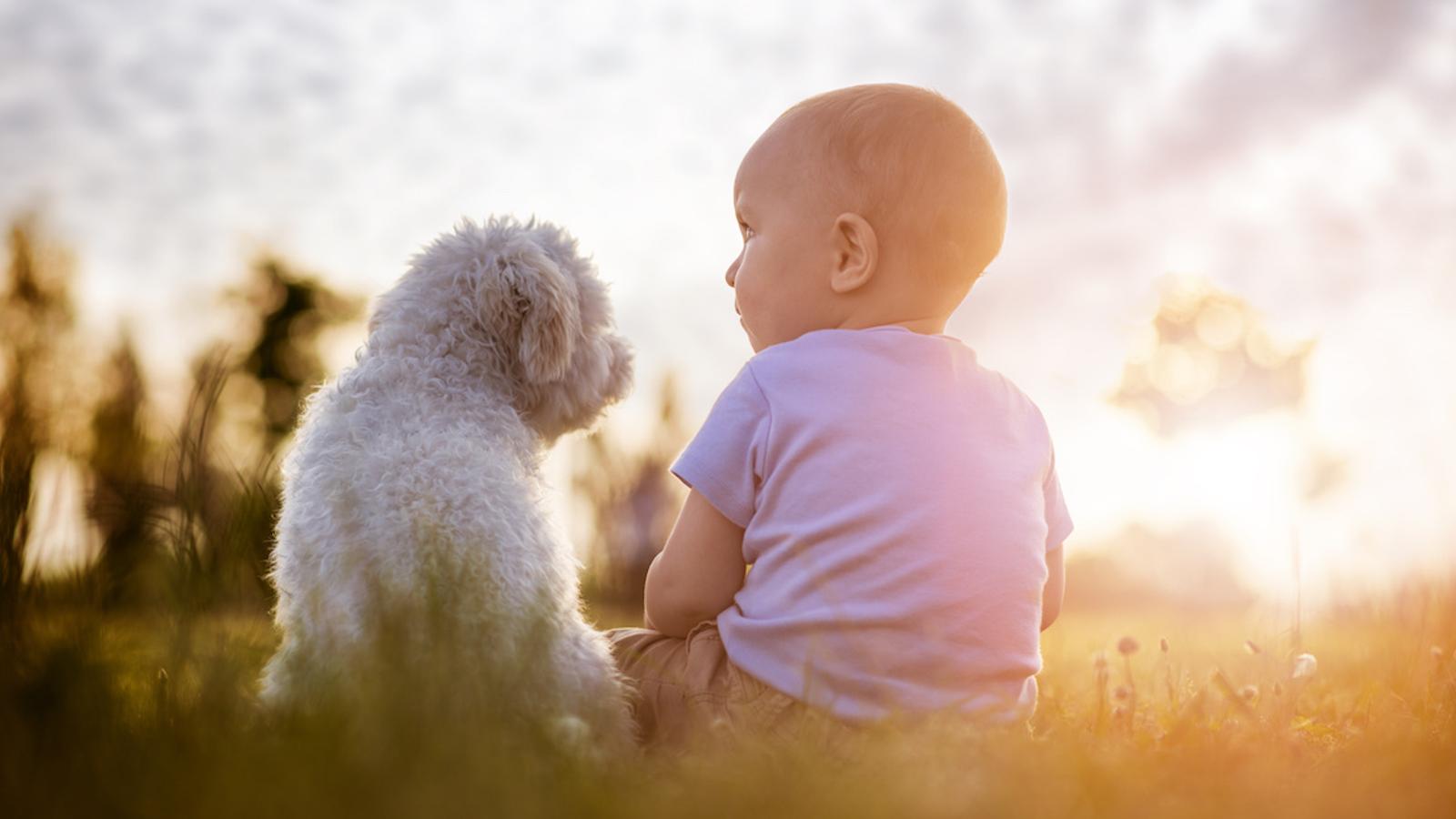 ​Les experts disent que les enfants qui ont des chiens sont plus heureux et ont plus de succès