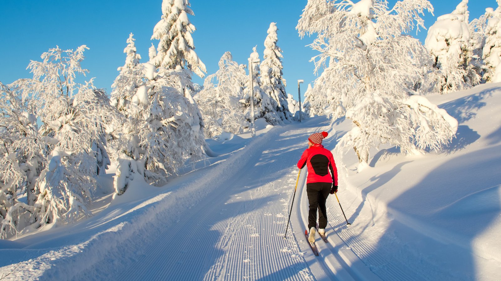 COVID-19: voici quelles seront les conditions à respecter pour skier dans un parc de la SEPAQ (et ailleurs) cet hiver