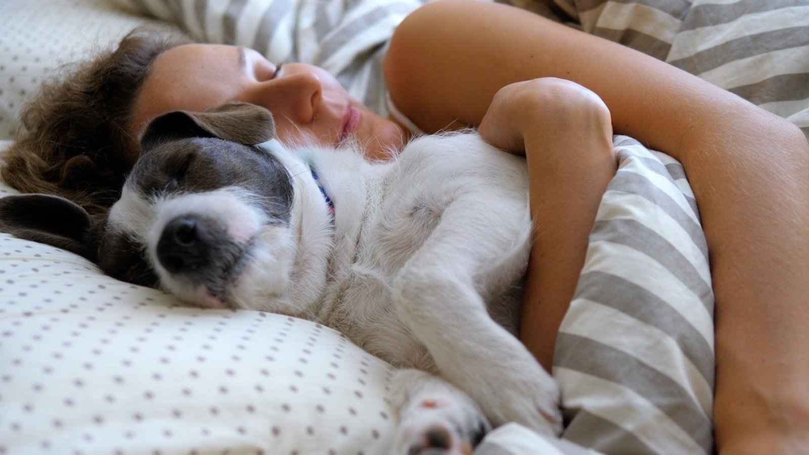 7 raisons de dormir avec votre chien