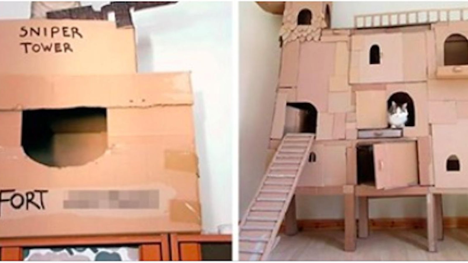 30 constructions pour chats réalisées avec des boites de cartons