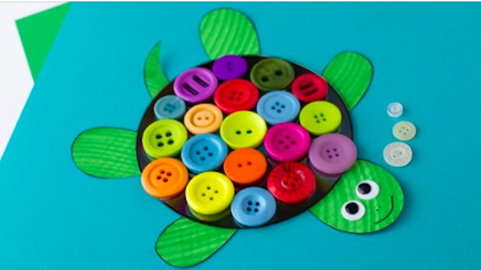 Comment bricoler une belle tortue avec un CD et des boutons