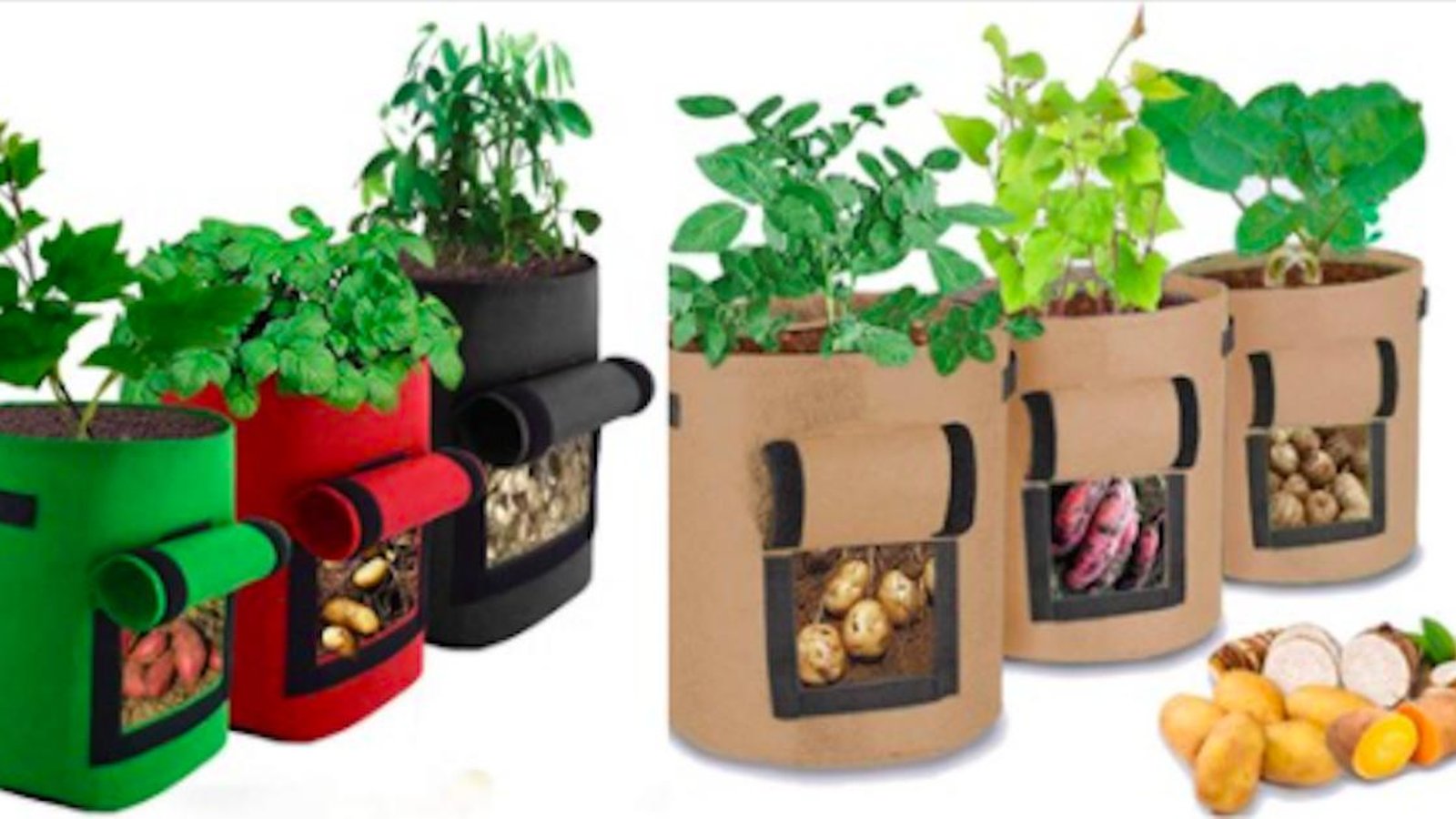 Le saviez-vous? Il est possible de cultiver des légumes dans des sacs!