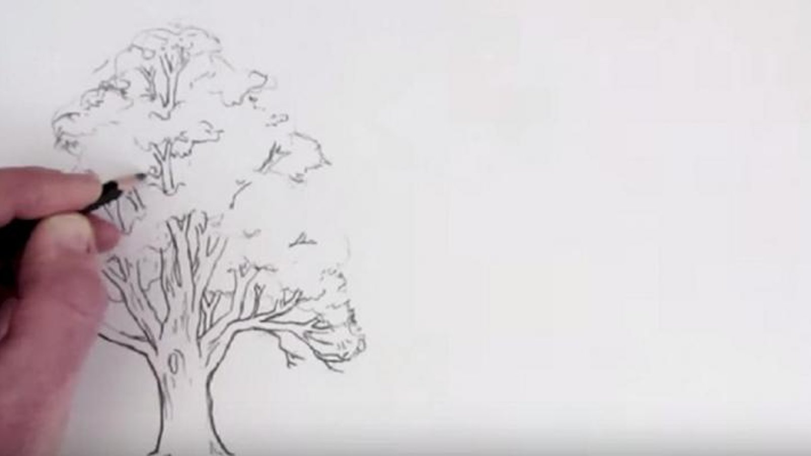 Vous aimeriez apprendre à dessiner un arbre sans qu'il ressemble à du brocoli? Voici comment! 