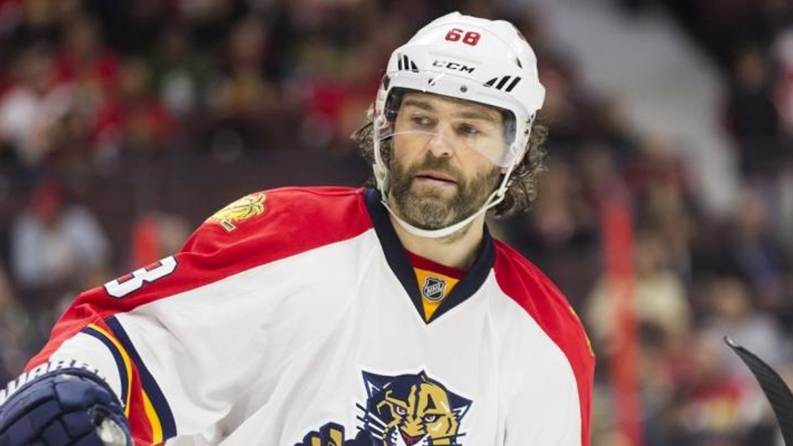 Jaromir Jagr has signed a new NHL contract.