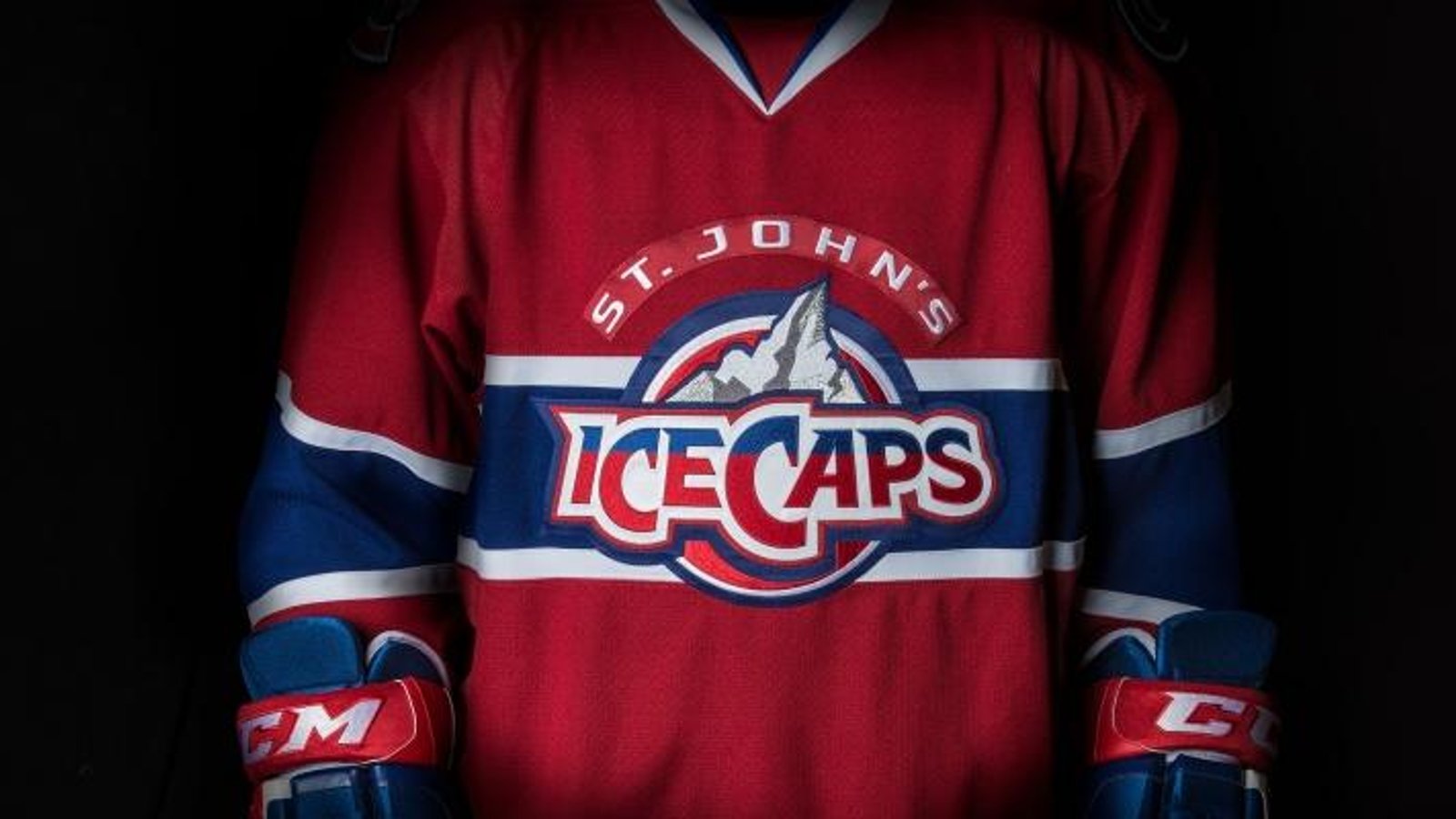 Habs' AHL Affiliate: Down to Three Names 