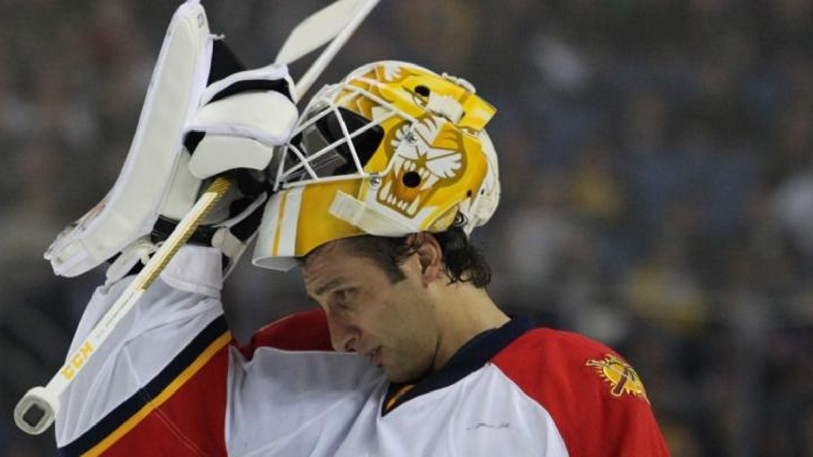 Roberto Luongo leaves practice after being hit in the head.