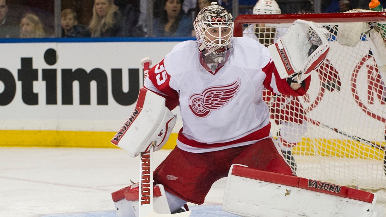 Howard believes Detroit's two-goalie problem may be a big positive this year.