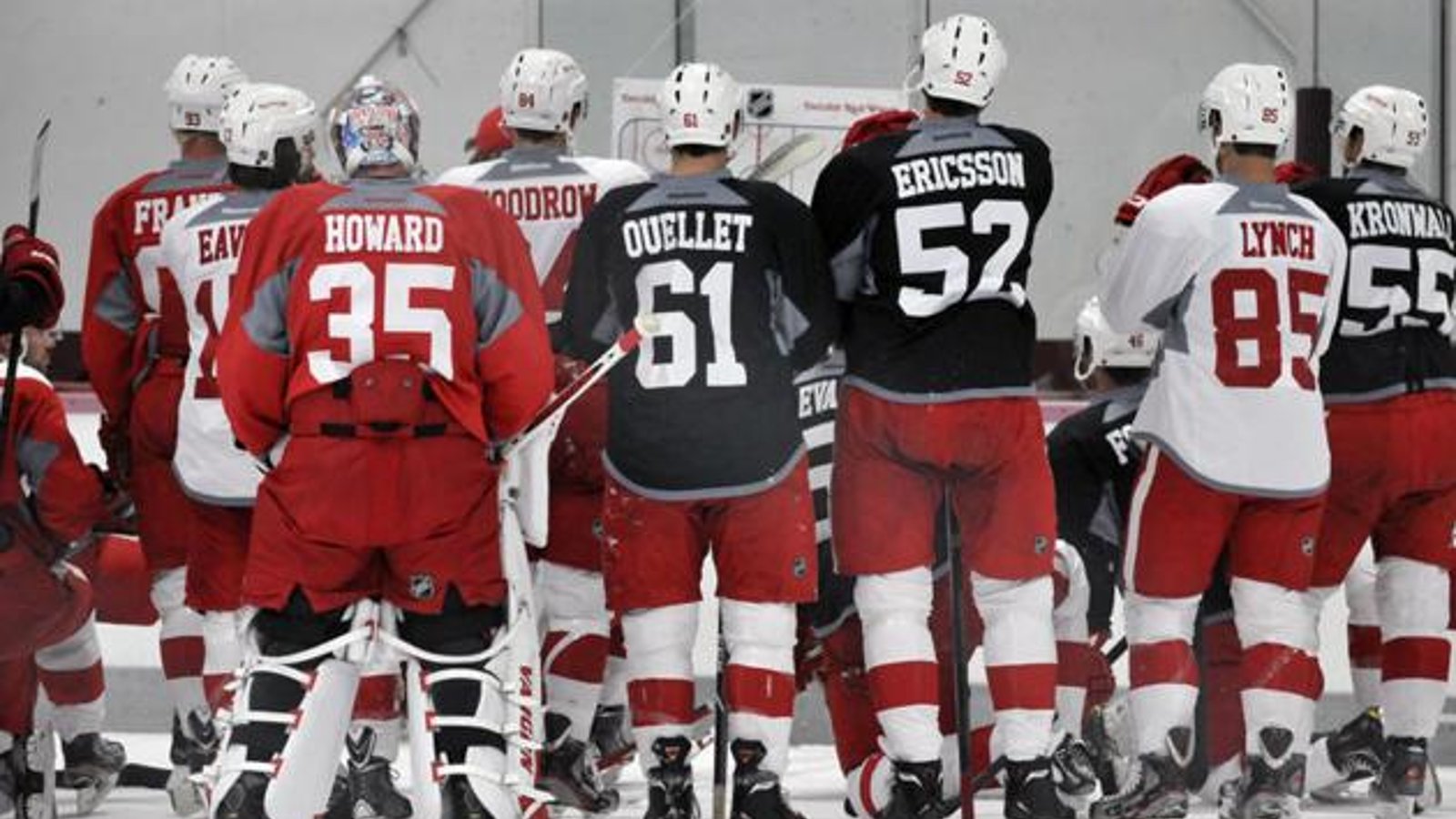 Report: Red Wings Cut 11 Players From Camp