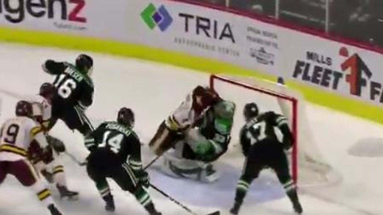 College hockey player absolutely destroys goalie, chaos ensues. 