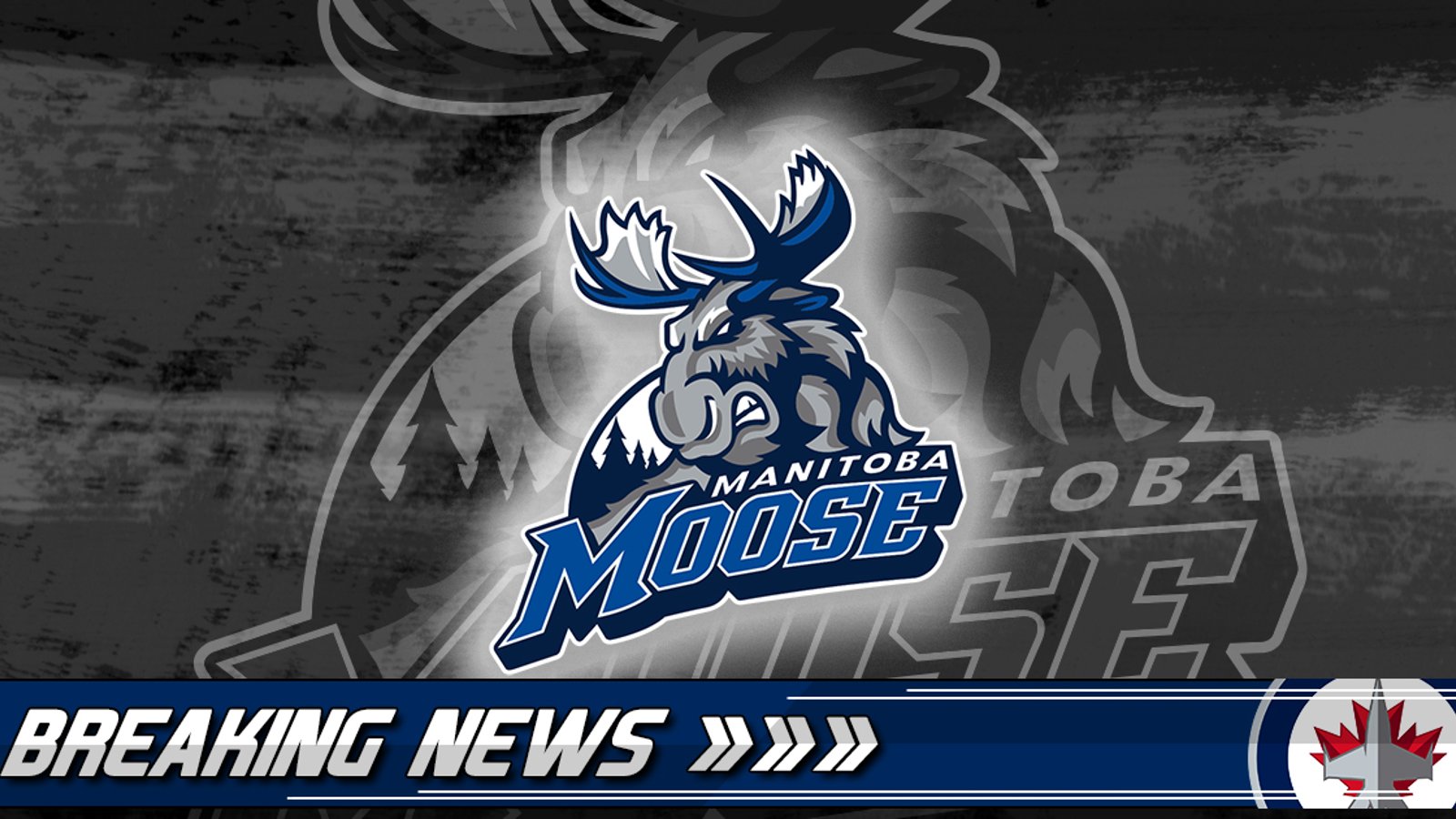 Breaking: Emergency Recall as another Manitoba Moose d-man joins the team.