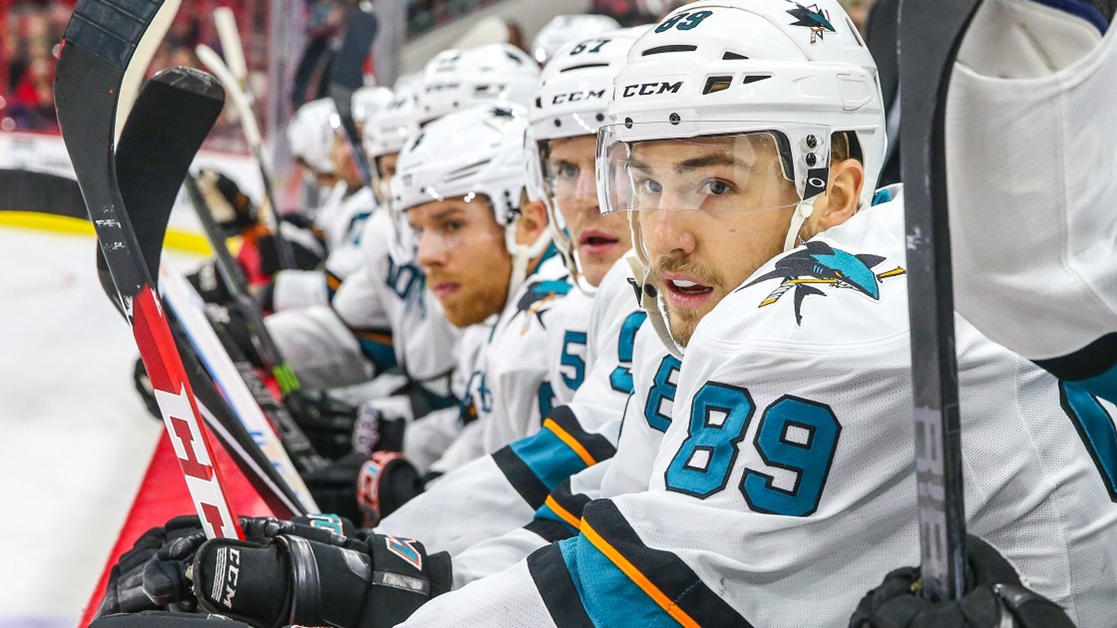 Sharks announce signing of 24-year-old forward.
