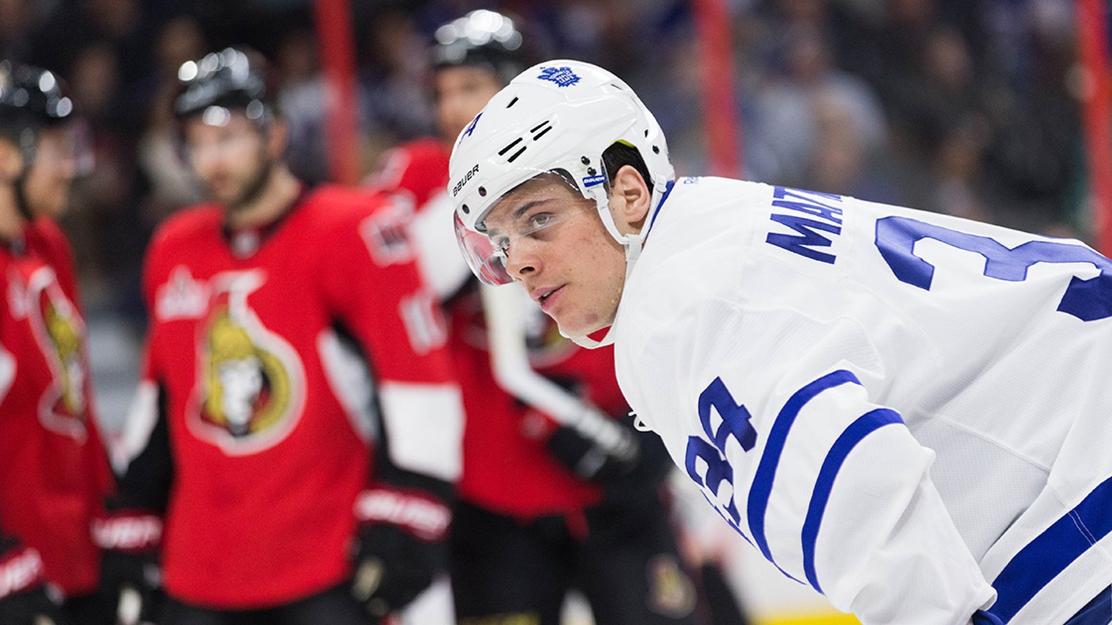 Your Cal: Who’s better? The Sens or Leafs?