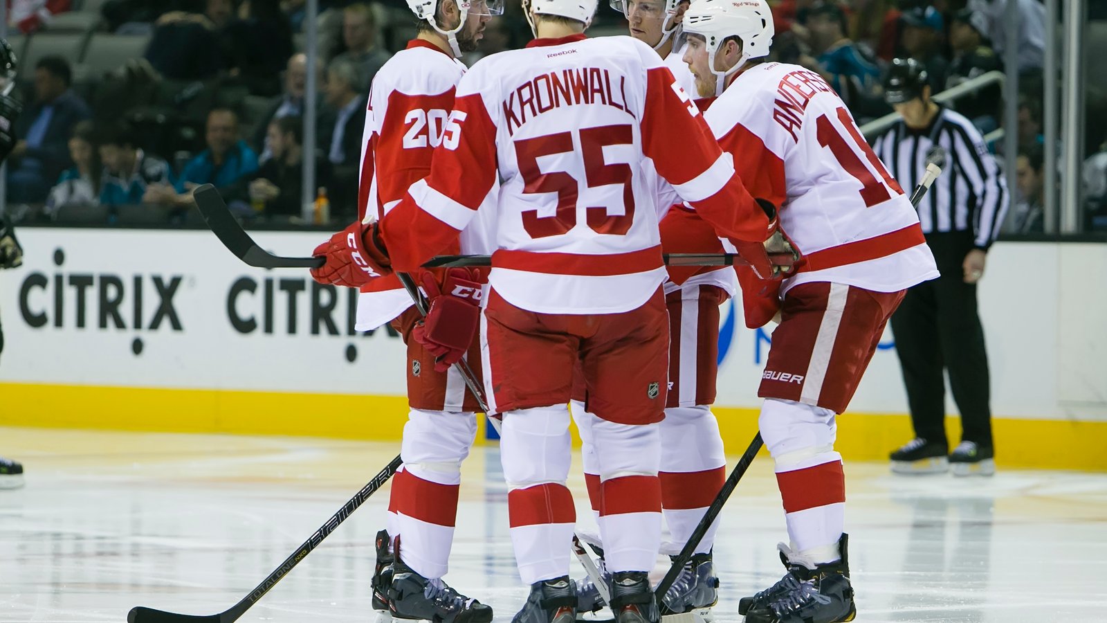 Breaking: Former Red Wing may be forced to retire at age 28