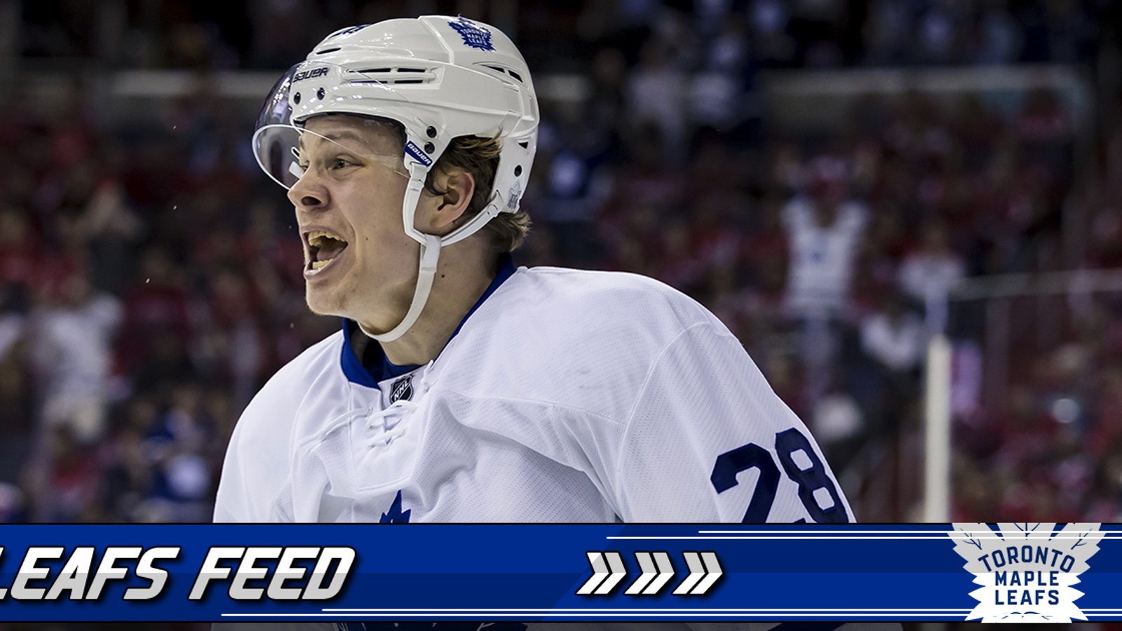 Leafs prospects watch: Kapanen and Johnsson are still on fire in the AHL!