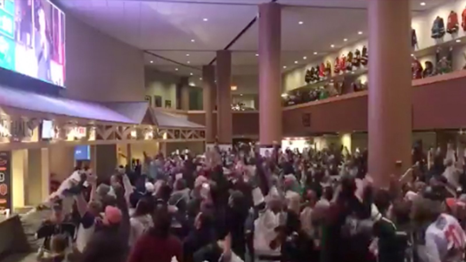 Must See: Fans go crazy in Xcel after Vikings TD 