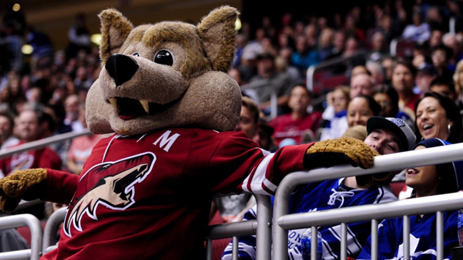 Report: Coyotes to Houston? Seattle?