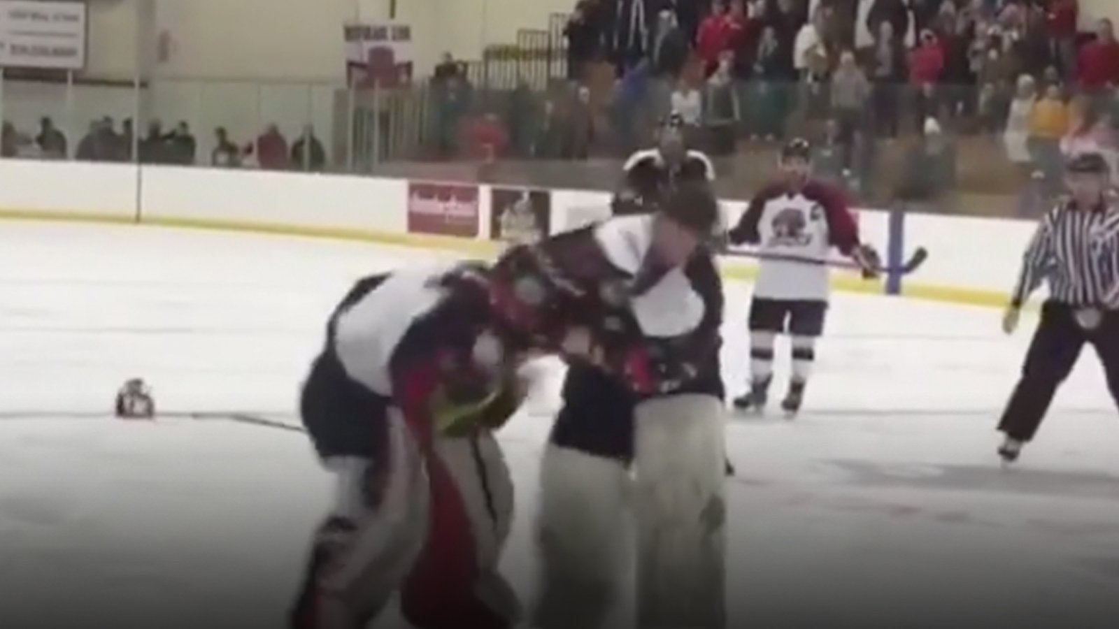 Must see: Crazy goalie fight, massive punches thrown!