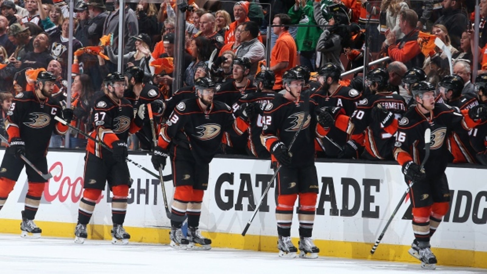 Report: Finally some good news for the Ducks!