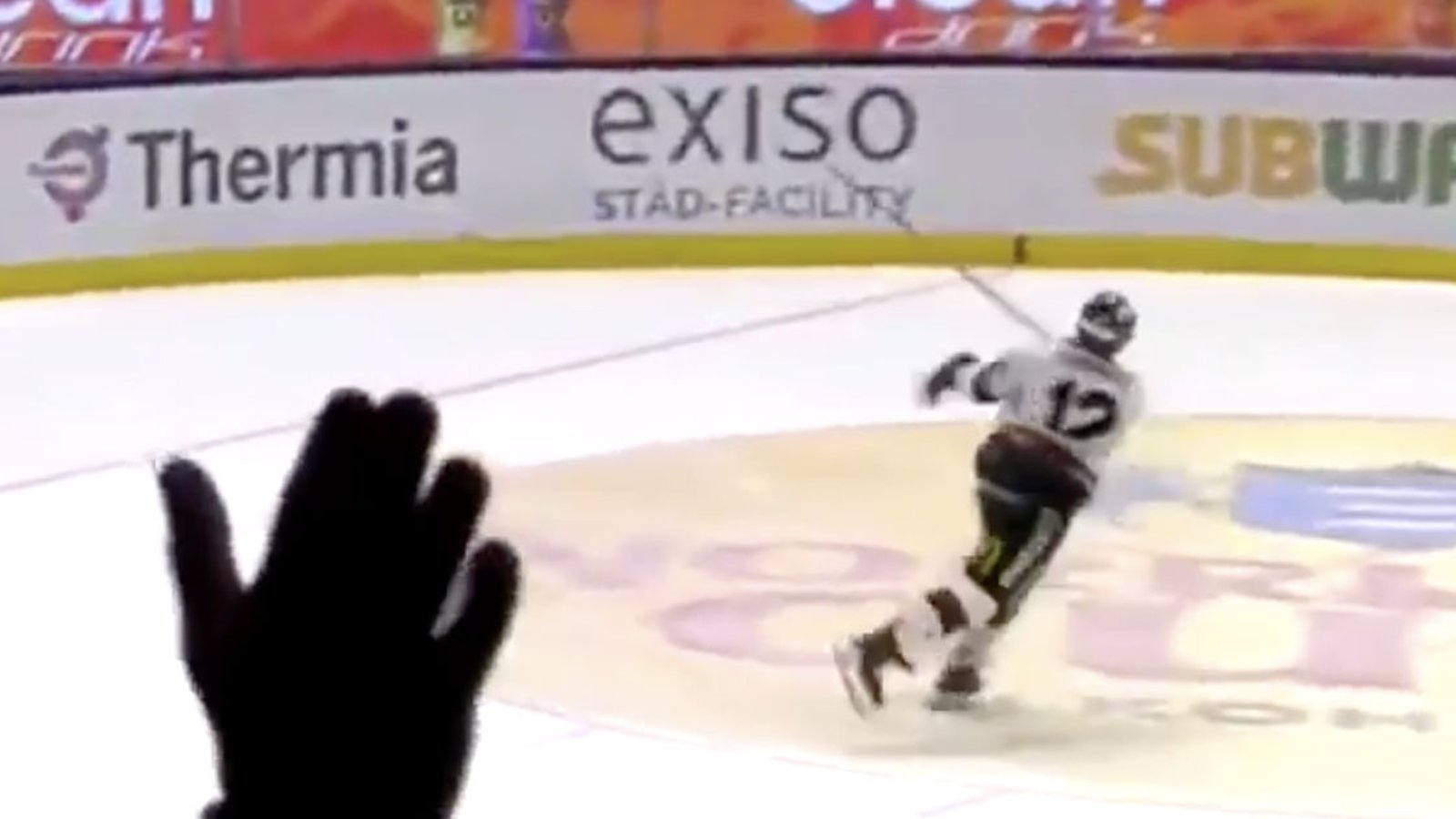 Former NHL forward loses his mind on the ice and puts fans in danger! 