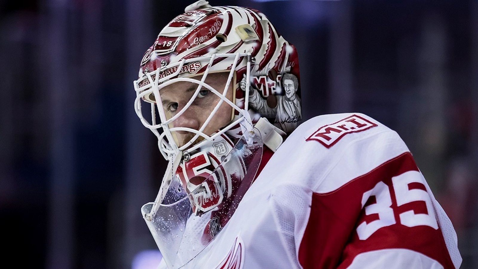 Report: Red Wings may have already picked their goaltender of the future.