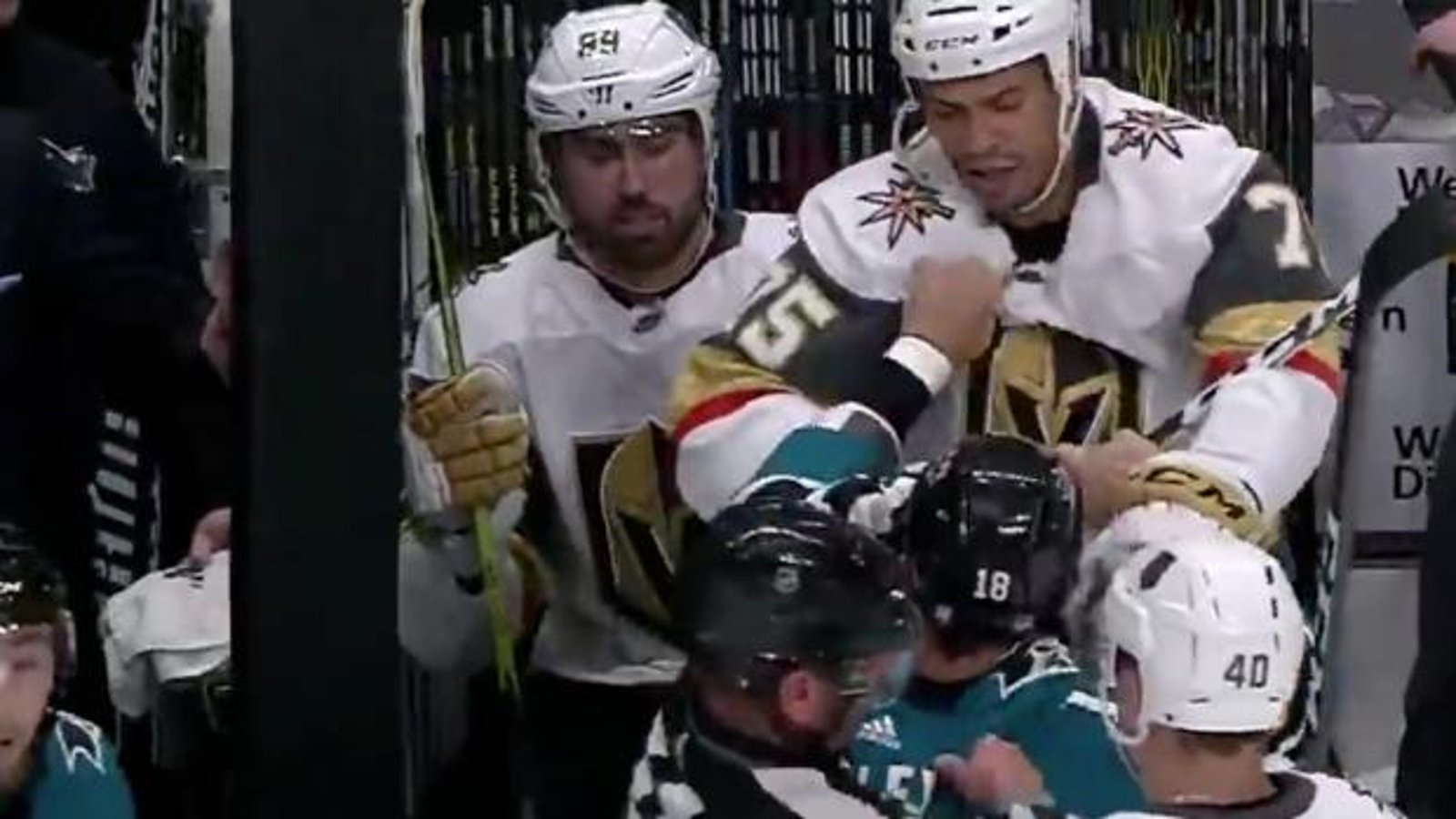 Michael Haley pulls Ryan Reaves off the bench and forces him to fight! 