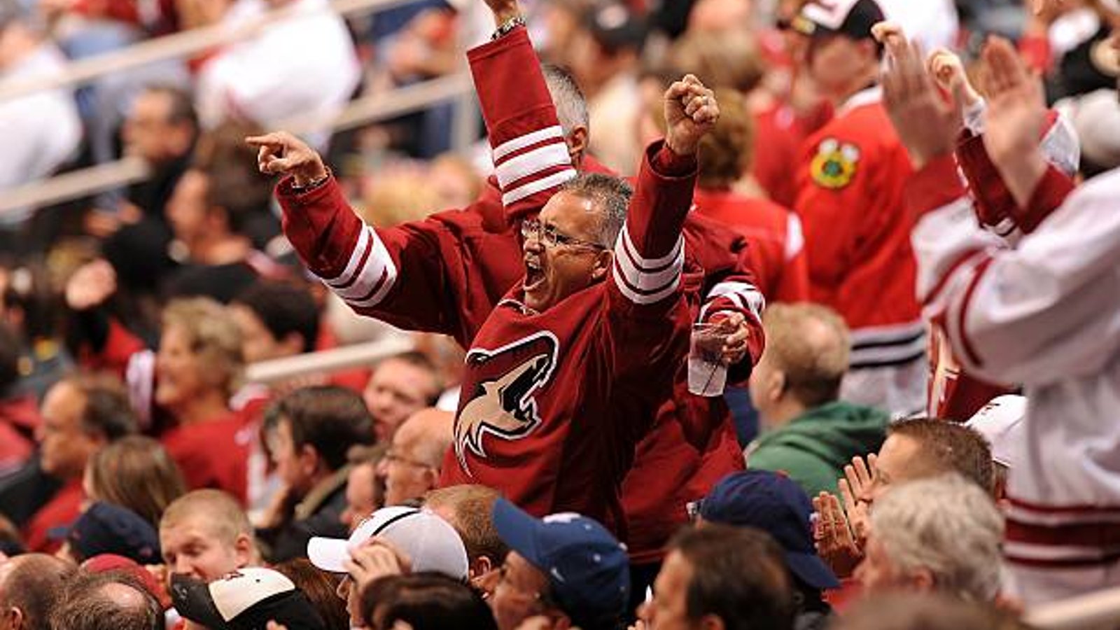 Coyotes are drawing bigger crowds this season than ever before in franchise history!
