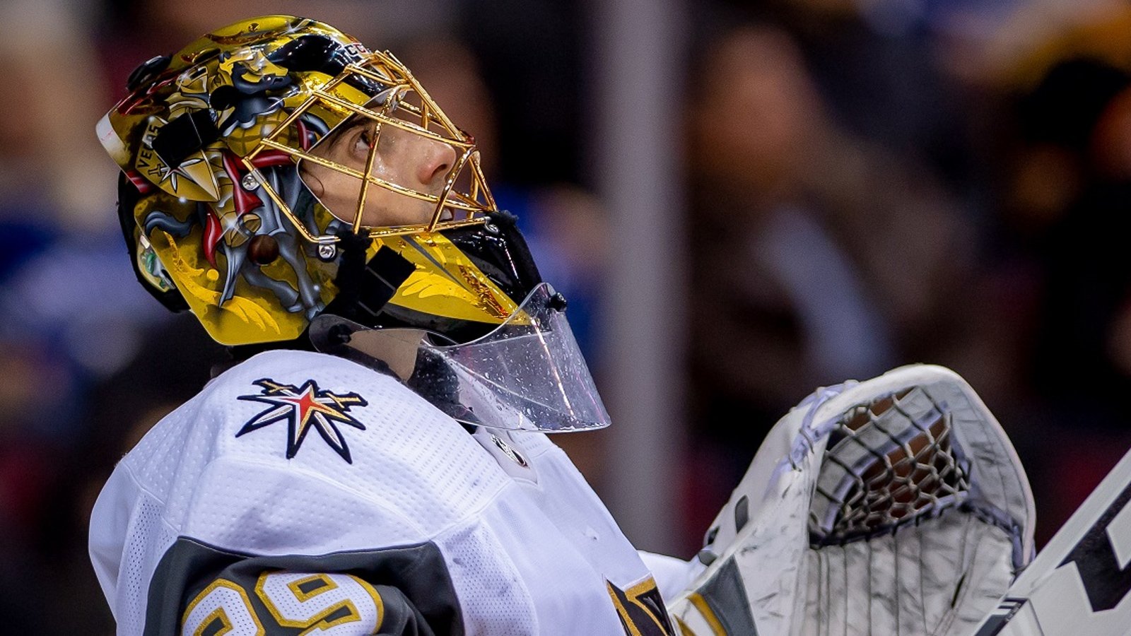 Marc Andre Fleury has been pulled from tonight's game.
