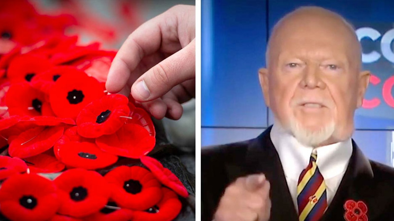 Nearly 75,000 fans sign petition supporting Don Cherry and call for him to be reinstated at Sportsnet